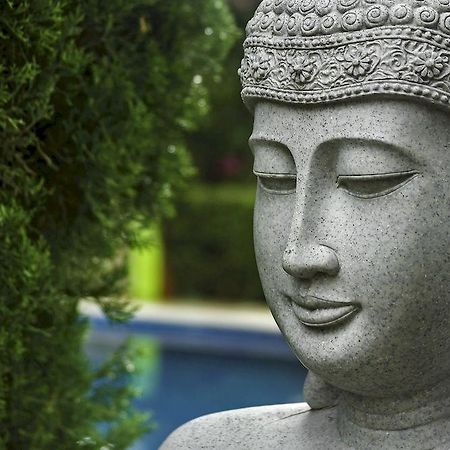 Casa Domingo Hotel Petit Miacatlan ภายนอก รูปภาพ