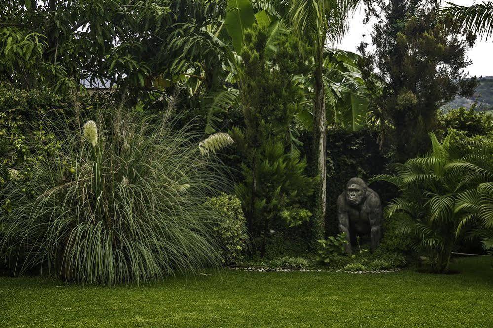 Casa Domingo Hotel Petit Miacatlan ภายนอก รูปภาพ